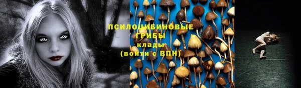 индика Абдулино