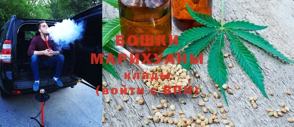 индика Абдулино