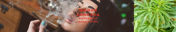 прущие крисы Абаза