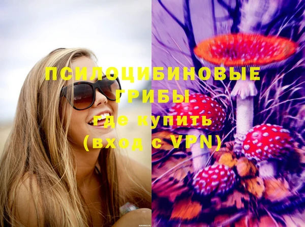 ГАЛЛЮЦИНОГЕННЫЕ ГРИБЫ Остров
