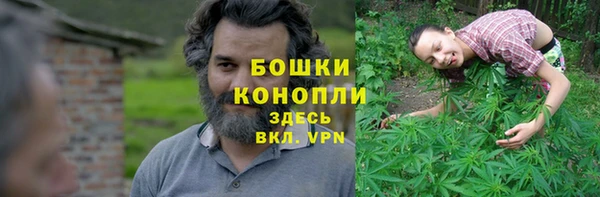круглые Осинники
